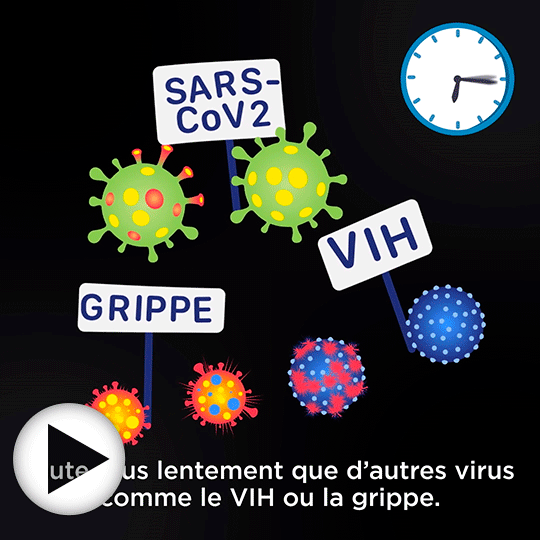 En savoir plus sur les vaccins